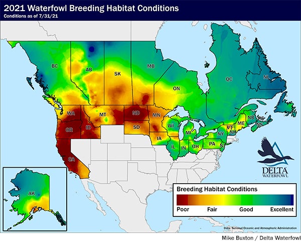 Map showing poor waterfowl breeding conditions in the Midwest and West Coast