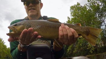 How To Catch Trout in Extreme High- and Low-Water Flows