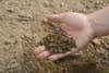Hand holding dry soil