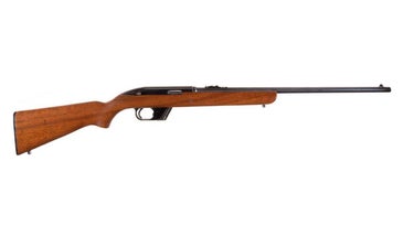 Winchester Model 77 .22
