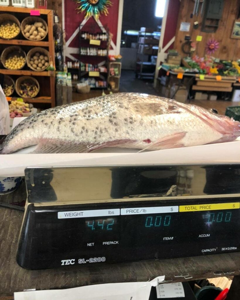 The official weigh-in took place at a local market.
