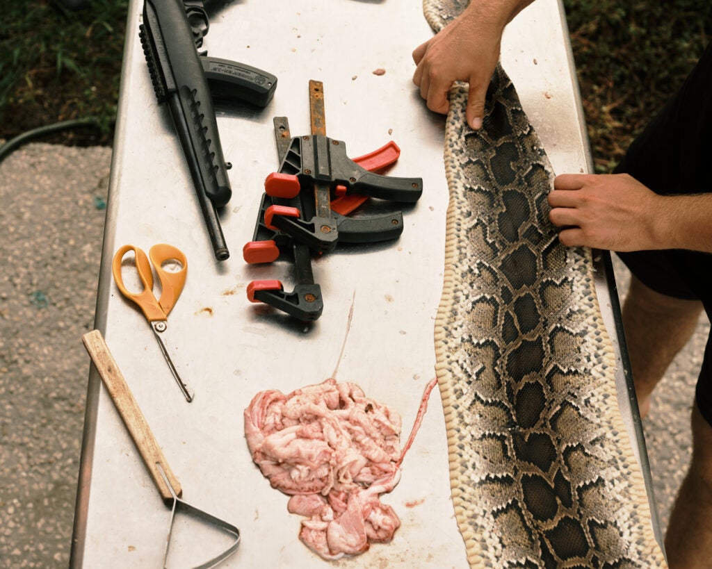 Meet the Hunters Trying to Fix Florida’s Python Invasion