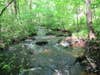 Small trout stream in the woods.