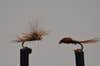 Adams Parachute and Pheasant Tail trout flies