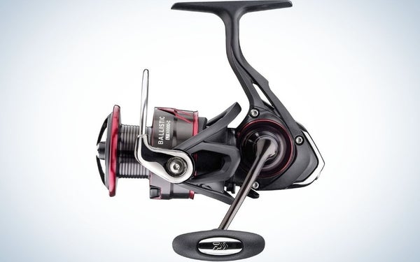 Daiwa Ballistic LT is our pick for the best spinning reels.
