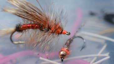 Deadly Trout-Fly Combos for Hopper-Dropper Rigs