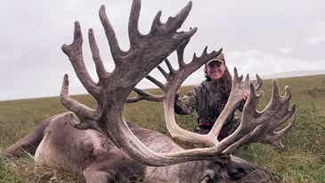 Alaskan Woman Takes 460-Plus-Inch Caribou Bull on Remote Solo Hunt