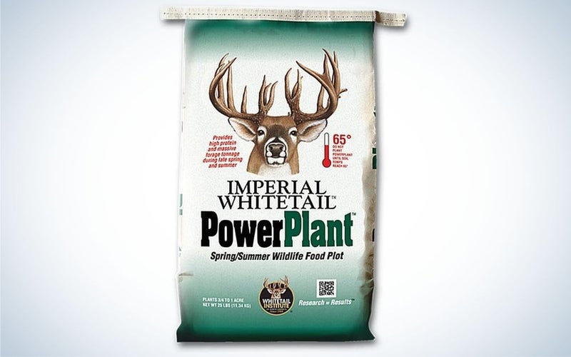 Power plant is our pick for the best food plot for deer