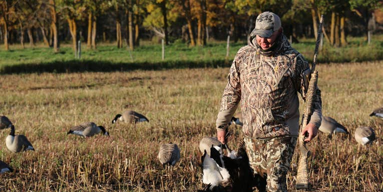 Hunting Tactics for Ultra-Wary Canada Geese in the Early Season