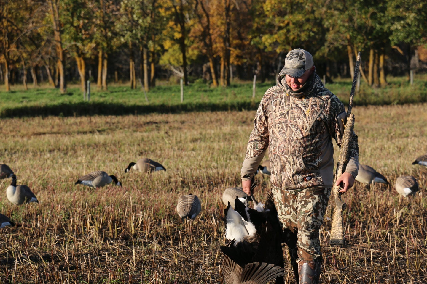 Canada goose hunter in the early season