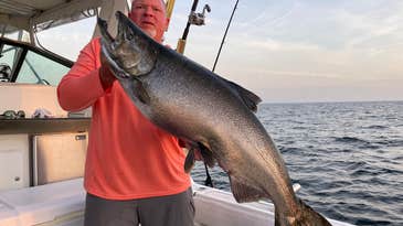 Illinois Charter Boat Angler Nabs Near-Record 34-Pound Chinook Salmon