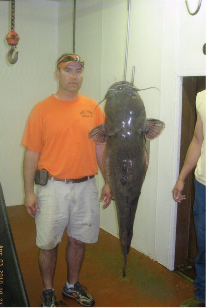 Darrin Sealey world record catfish