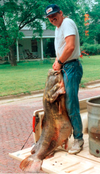 Paulie's world-record flathead weighed 123 pounds.