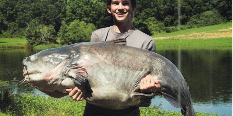 10 of the Biggest World Record Catfish of All Time