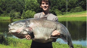 10 of the Biggest World Record Catfish of All Time