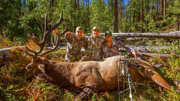 Hunting Public Land Elk? Forget 300-Inch Bulls and Just Have Fun