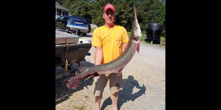 Virginia Bowfisherman Arrows Monster 4.5-Foot State-Record Longnose Gar