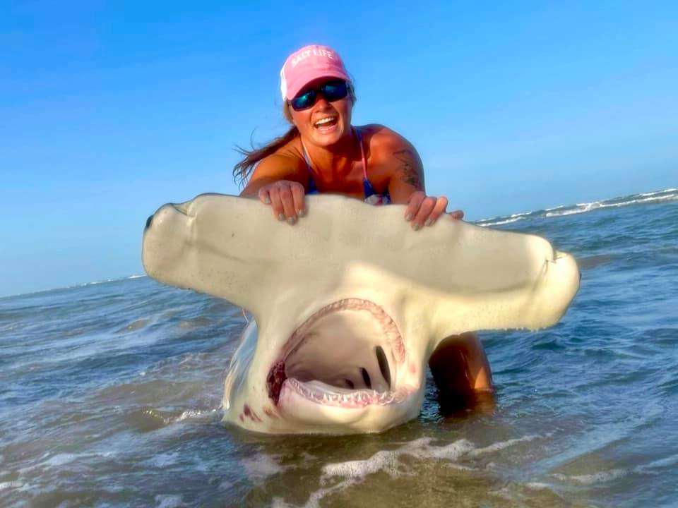A woman wearing a pink cap holds the front of a hammerhead with its mouth open