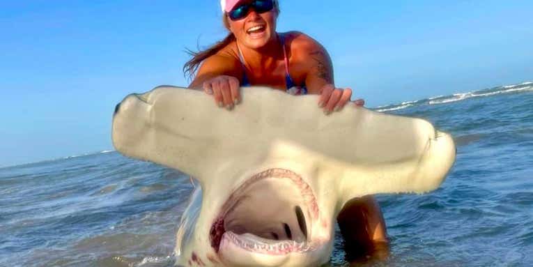 Texas Woman Beaches Giant 11.5-Foot Hammerhead While Fishing From a Pickup Truck
