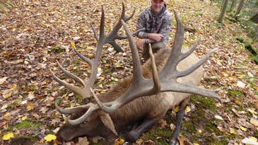 The Full Story Behind Pennsylvania’s 455-Inch State Record Bull Elk