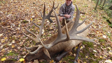 The Full Story Behind Pennsylvania's 455-Inch State Record Bull Elk