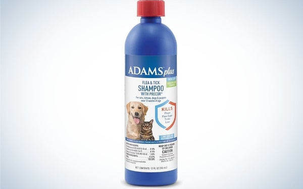 Shampo Adams është mbrojtja më e mirë për qentë nga pleshtat dhe rriqrat.