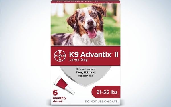 K9 Advantix mbrojtja më e mirë për qentë nga pleshtat dhe rriqrat.