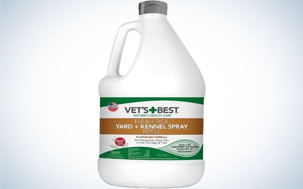 Vet's best treatment is the best flea and tick protection for dogs.