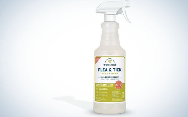 Wondercide spray is the best flea and tick protection for dogs.