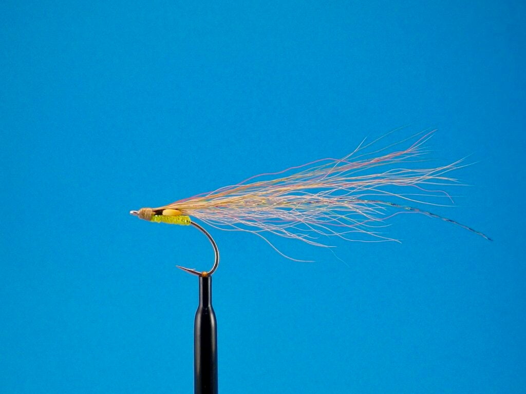 The Inconspicuous fall run striper fly.