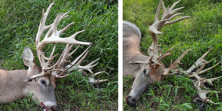 Kentucky Hunter Kills 57-Point 280-Plus-Inch Potential Record Whitetail