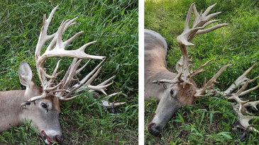Kentucky Hunter Kills 57-Point 280-Plus-Inch Potential Record Whitetail