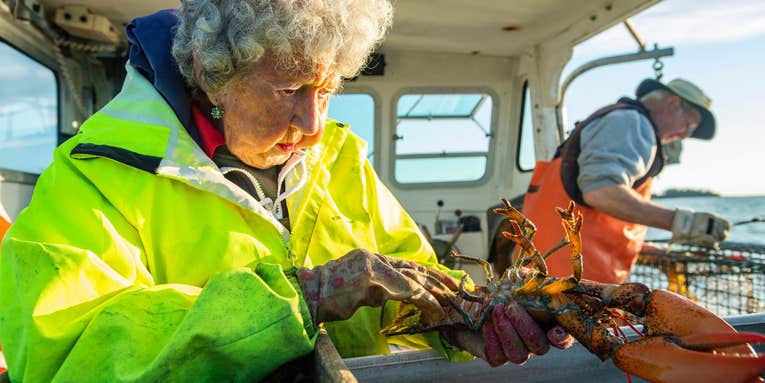 “They Call Me the Lobster Lady!” This 101-Year-Old is Still Catching Big Bugs