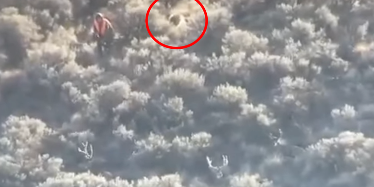 Video: Porcupine Quills Hunter—and Blows a Perfect Muley Stalk at the Last Second