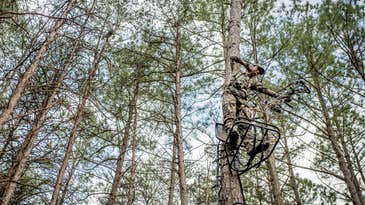 Are Single-Bevel Broadheads Better or Just a Fad?