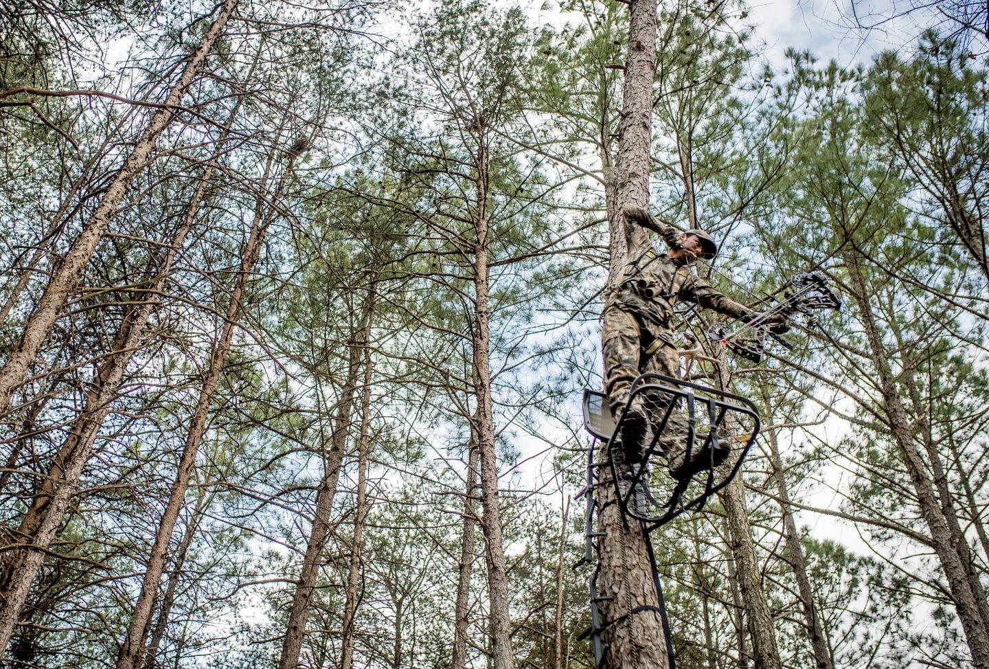 Bowhunter shooting from a treestand