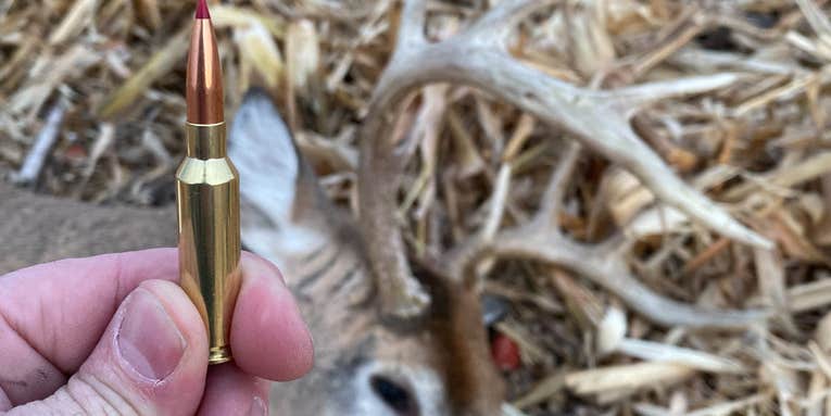 How to Create Your Own Wildcat Cartridge. It’s Easier Than You Think
