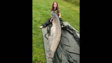 British Teenager Catches Behemoth 96-Pound Wels Catfish
