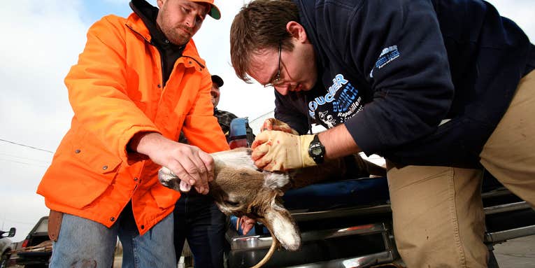 LA Offers Hunters a Shot at $1,000 for Submitting Deer Heads for CWD Testing