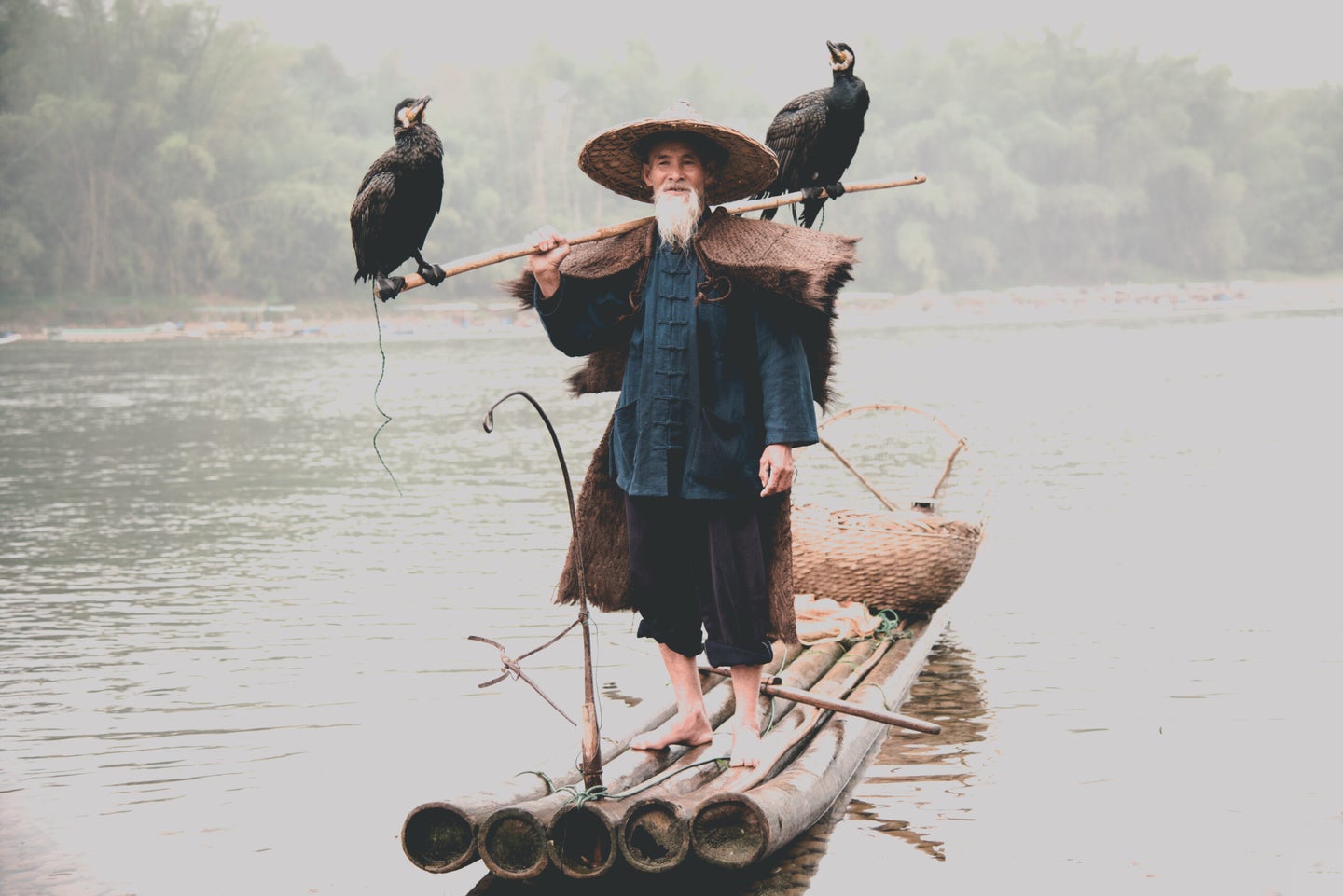 Traditional Chinese cormorant fisherman standing on a boat with two birds.