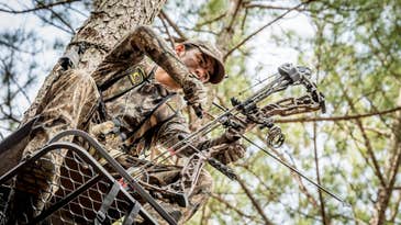 No Time To Hunt? Here’s How To Make The Most Of Deer Season