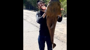 Arizona Man Catches 42-Pound Flathead Catfish from Local Canal