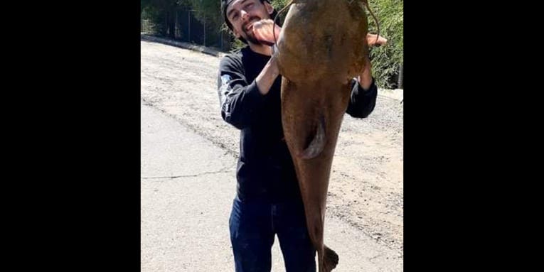 Arizona Man Catches 42-Pound Flathead Catfish from Local Canal