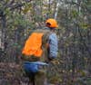 Hunter in orange walking through the woods.
