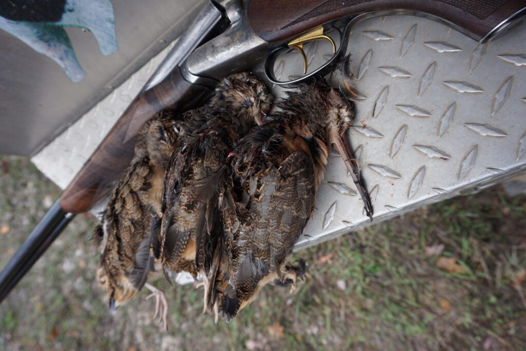 three woodcock on a tail gate with a shotgun.