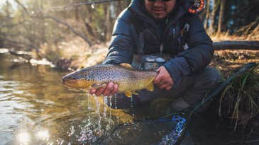 How To Be Ready for Any Fall Fly Fishing Condition
