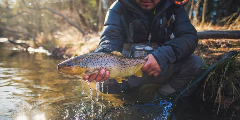 How To Be Ready for Any Fall Fly Fishing Condition