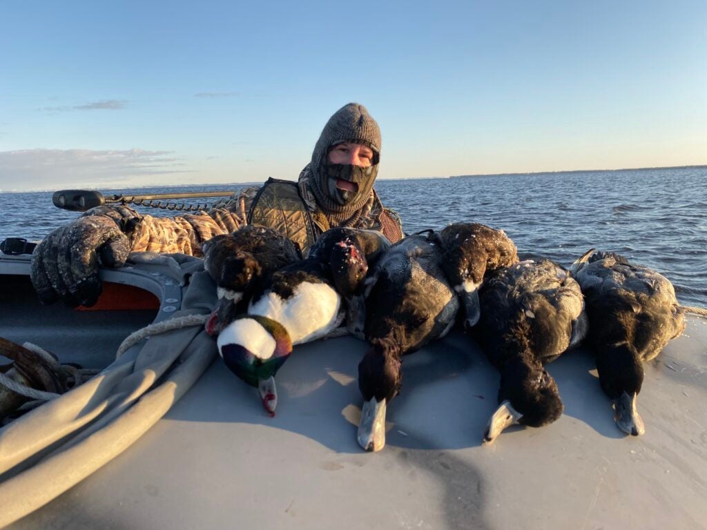 duck hunter with diving ducks