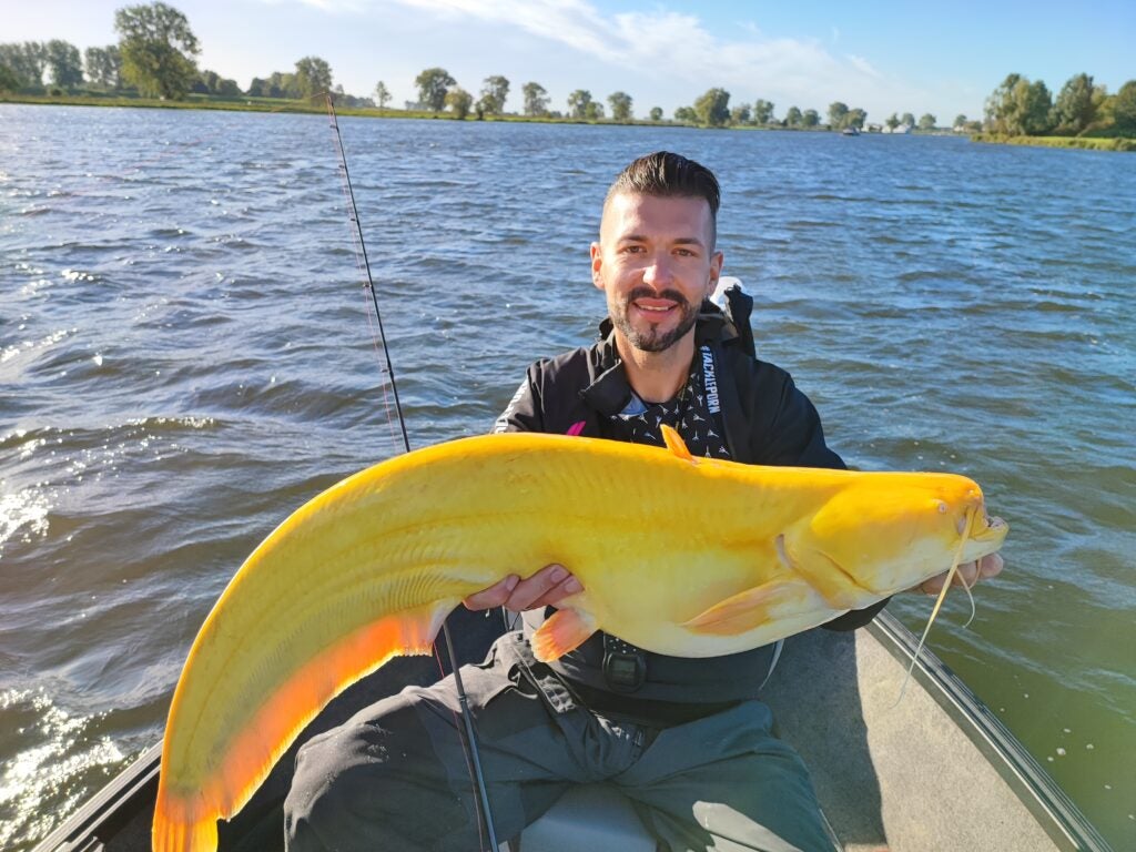 angler holds large yellow catfish