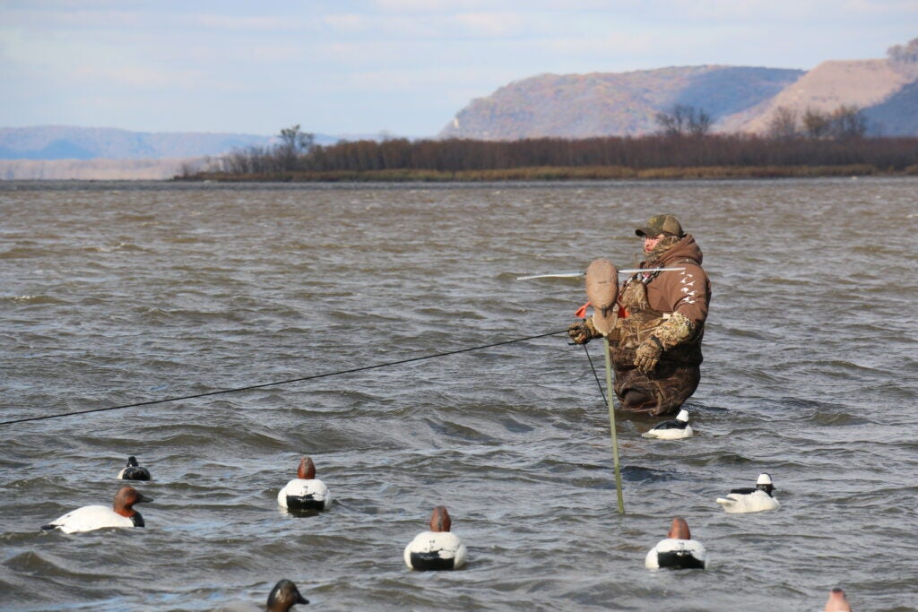 Duck hunter adds decoys to the decoy spread